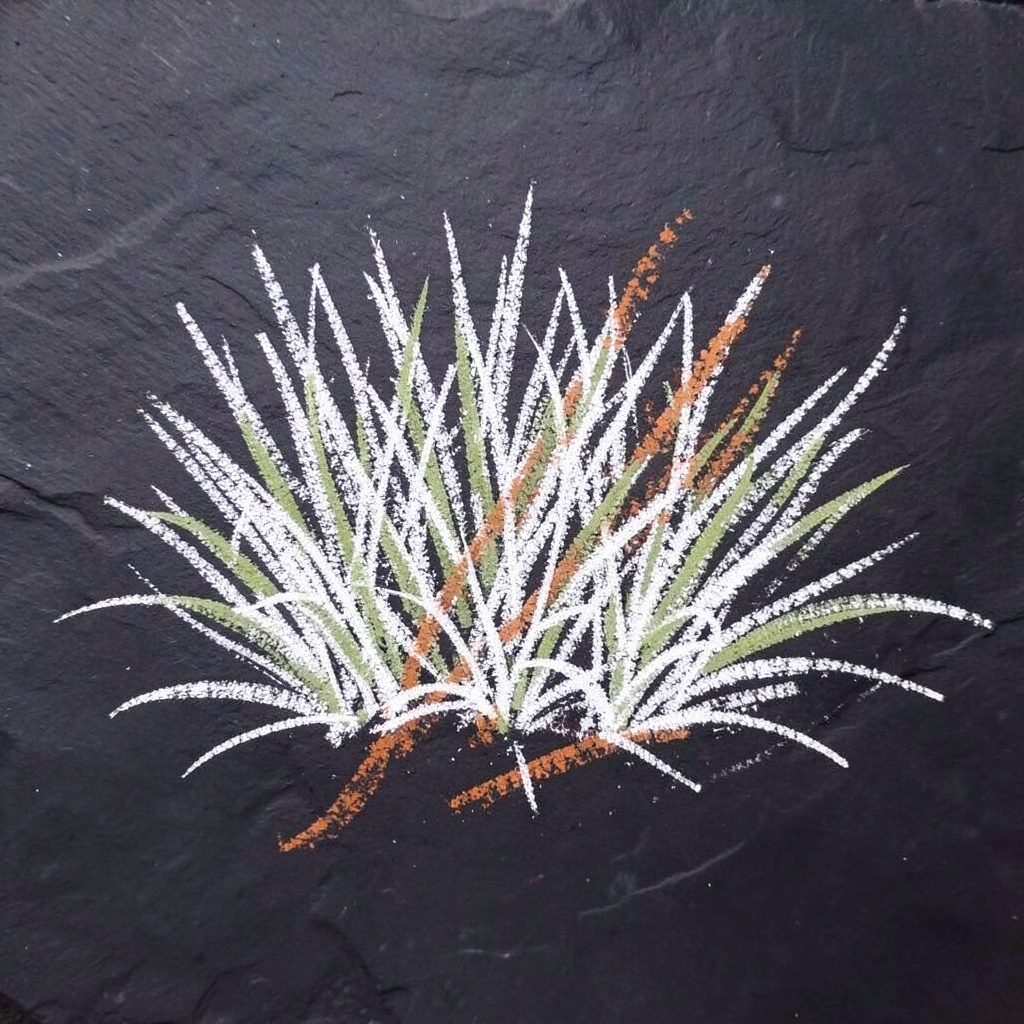 Chalk drawing on a dark slate board of tall wheatgrass blades sprouting from a tray of soil, sketched in soft green and cream chalk lines